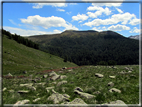 foto Malga Val Cion